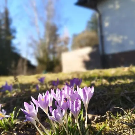 Nyaraló Haus Zur Lachenden Lieselotte I 5 Minuten Zu Fuss Zum Kostenlosen Naturbad I Messenaehe I Waldnaehe Postbauer-Heng